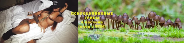 кокс Заволжье