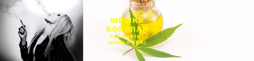 крисы Заводоуковск