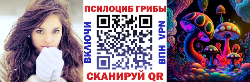 Псилоцибиновые грибы Magic Shrooms  Купить закладки  Биробиджан 
