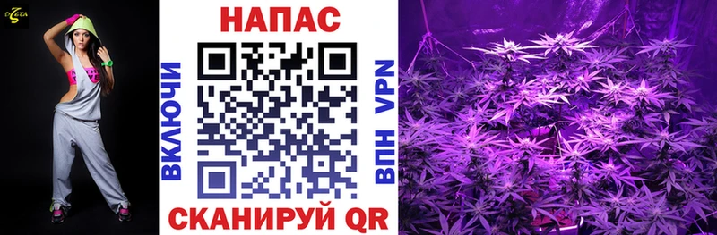 Купить закладки  Биробиджан  Бошки Шишки OG Kush 